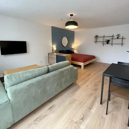 Apartment Grand Studio Joli Coeur - Calme Cosy Lumineux + Parking *